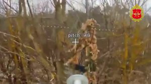 🎮 Расчеты войск беспилотных систем пополняют список пораженных объектов