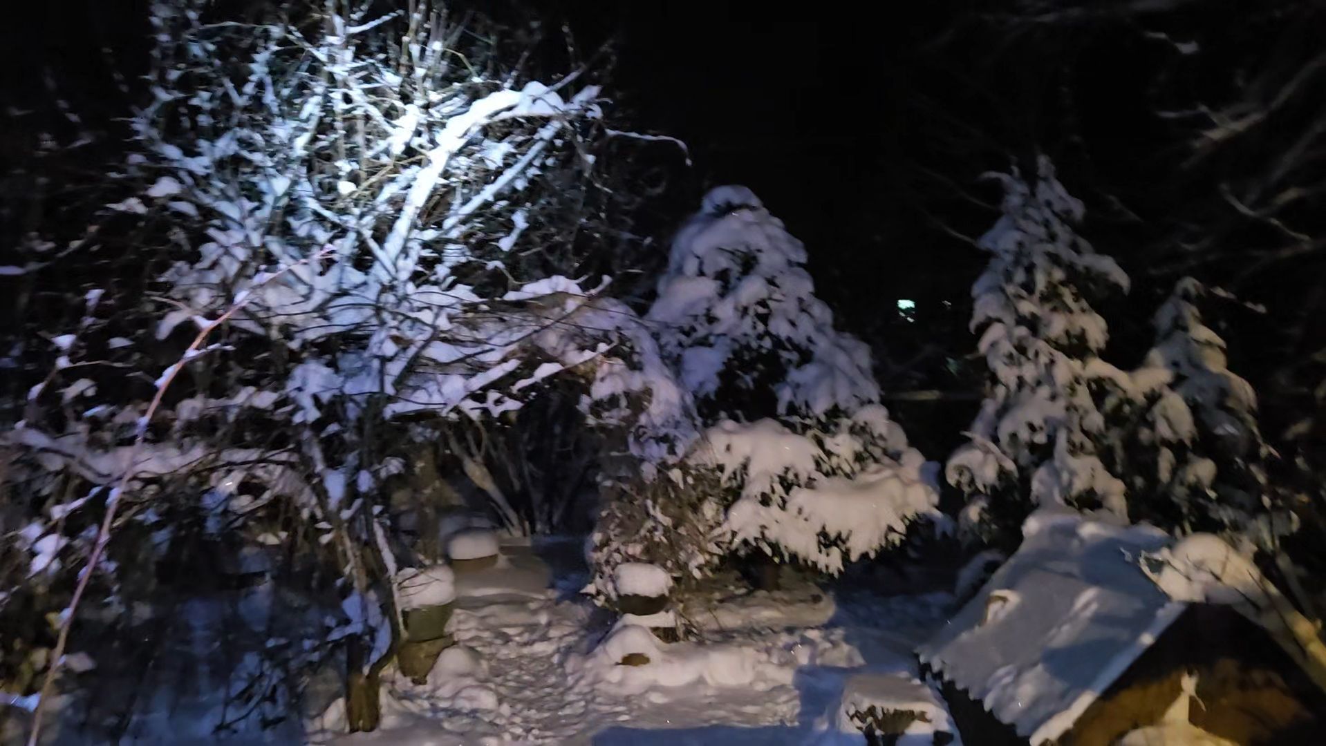 Новогоднее убранство, душистый можжевельник и синий вечер смотреть онлайн