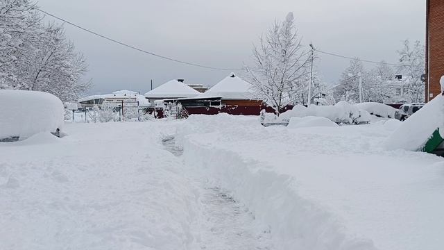 Ситуация в Краснодарском крае 1-ого января 2026 года, за 12 часов выпало больше метра снега. смотреть онлайн