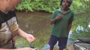 Унаватуна. Местный рассказывает про особенности рыбалки. А мы ловим змееголова.