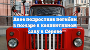 Двое подростков погибли, растапливая в доме печь после новогодней вечеринки