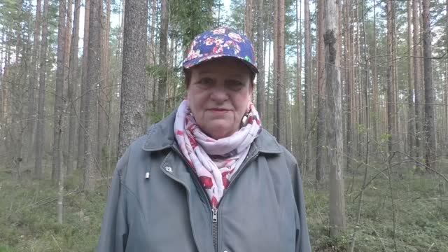 Полезли как по команде...Строчки гигантские. "Дневник грибника" 9 мая 2023 года. смотреть онлайн