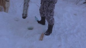 Ловля живца на хапугу от Марата!