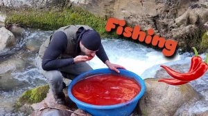 Необычная РЕЧНАЯ РЫБАЛКА / Рыбалка с острым перцем / Необычный метод лова рыбы !