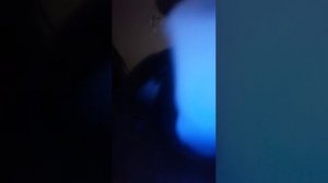 подарок на нг