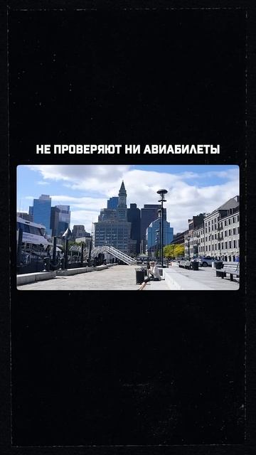 Чем могут навредить авиабилеты на собеседовании в посольстве США? #shortvideo смотреть онлайн