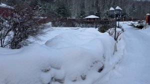 С Новым 2026 годом!!! Желаю счастья, удачи и крепкого здоровья. Красивых роз в наших садах 🌹🌹🌹