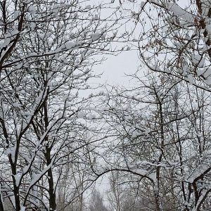 мой АК В 
лайке