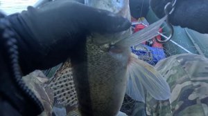 🔺️🎣ЗАВЕС СУДАК🎣🔺️fishing#туризм#природа#ловля#рыбалка#щука#ловлящуки#ночевка#Чулым#река#спиннинг