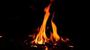 ВП Кикимора