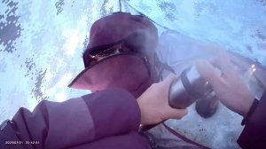 Немного порыбачил подловил живца🎣 Рыбачил на мормышку с мотылем🎣 Прикормка Стерля (Сыр).