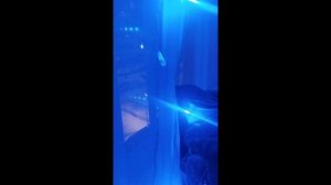 Новогоднее обращение Димы лифтовика. 2026