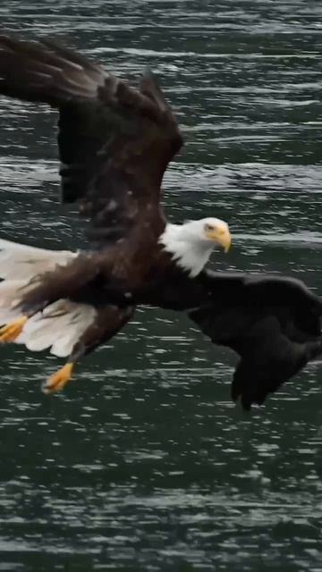 Эпично 🔥 смотреть онлайн