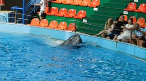 ВИДЕО  ПВН  ББ   (1472)