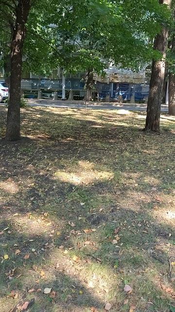 №569	Комсомольский проспект. 15 августа 2025 г., 15:38:28 VID_20250815_153814516