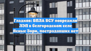 Гладков: БПЛА ВСУ повредили ЛЭП в белгородском селе Ясные Зори, пострадавших нет