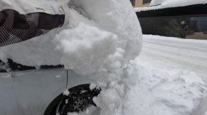 СОЧИ. 1 ЯНВАРЯ. Тонны снега и поваленные деревья