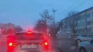 30.12.2025. Испугалась непогоды и сбежала домой.