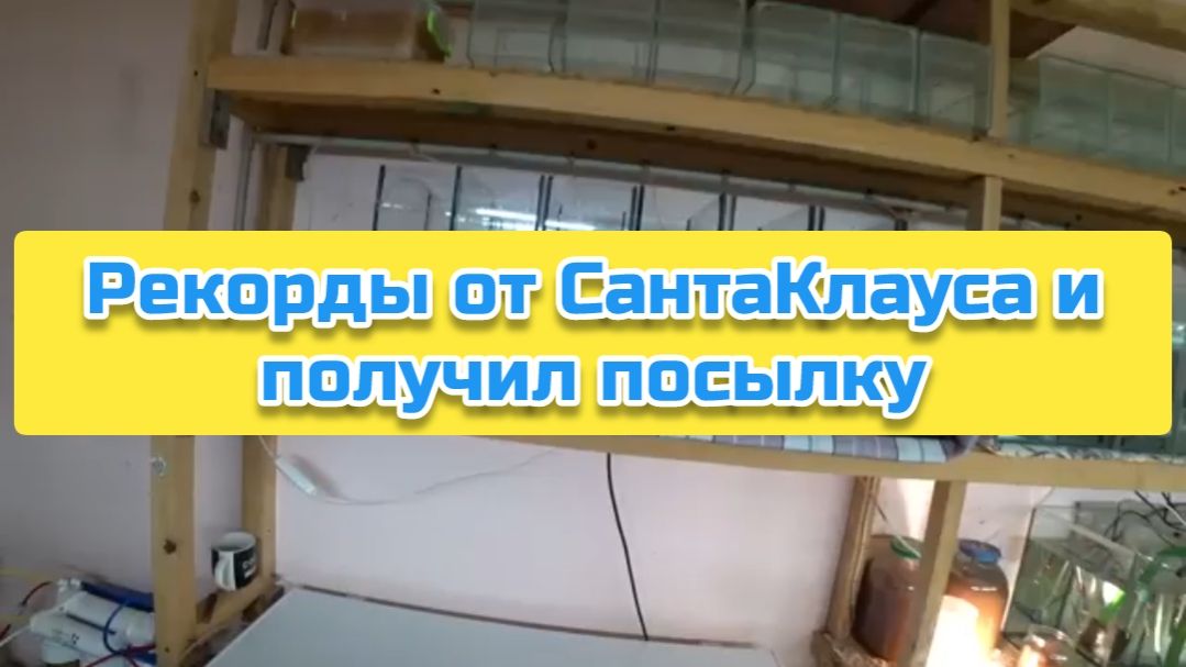 Рекорды от СантаКлауса и получил посылку смотреть онлайн