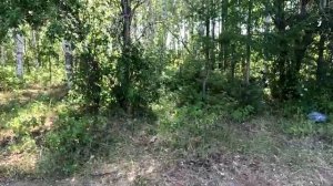 прогулка до место рыбалки