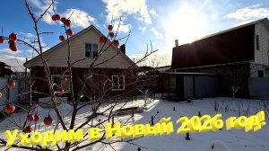 Уходим в Новый 2026 год. Посетим Ейскую косу, лиман. В зимнем саду есть что поесть!