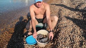 Остров Желтухина. Spearfishing Vladivostok