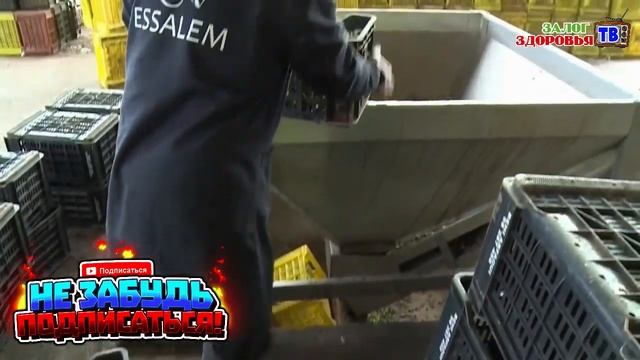 Полезные продукты для суставов !!! ТОП-7 продуктов для в смотреть онлайн