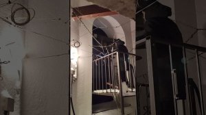 Колокольный звон перед Новогодней Божественной Литургией. Новый год 2026