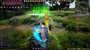 Играем в Black Desert