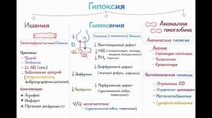 Ишемия/ Инфаркт