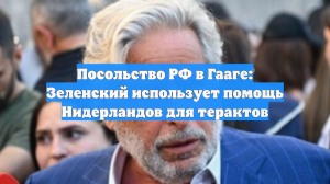 Посольство РФ в Гааге: Зеленский использует помощь Нидерландов для терактов