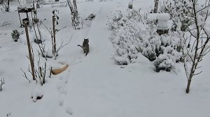 С Новым Годом !!!  Снег на Новый Год. Подготовка.