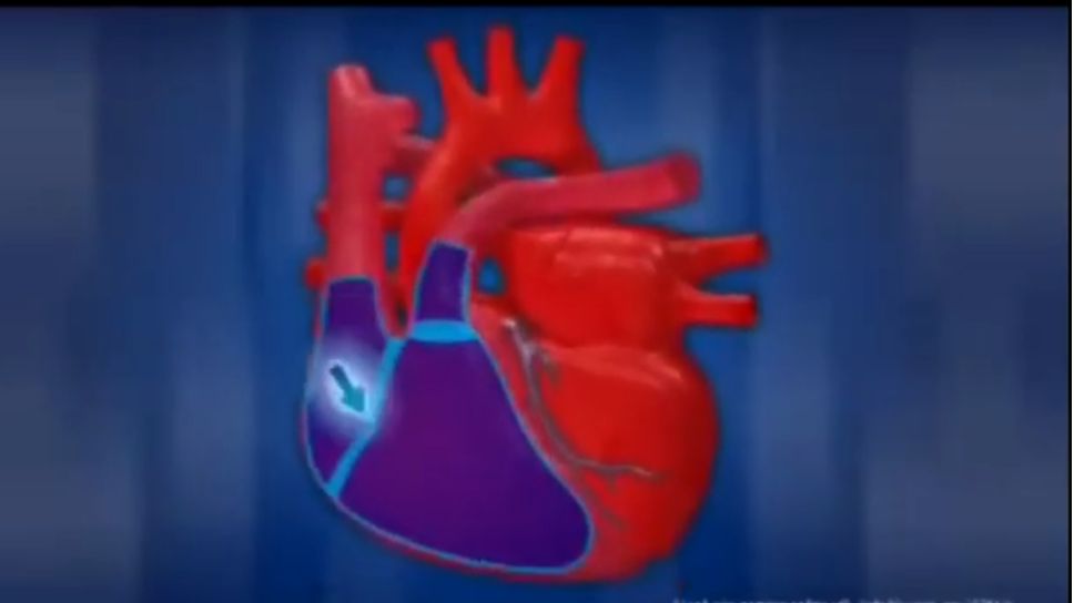 Медитация на полном пении ЙОГОВ! Вдох О О О О- М М М М. ВЫДОХ О О О О - М М М М! смотреть онлайн