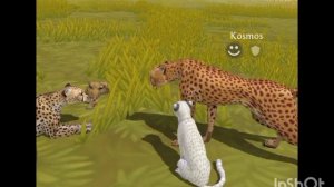 Мини фильм Wildcraft "Не такая как все" 9 серия