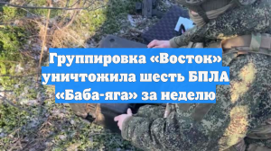 Группировка «Восток» уничтожила шесть БПЛА «Баба-яга» за неделю