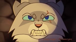 Коты воители/Мап/