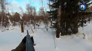 ОХОТА НА ЗАЙЦА 31 ДЕКАБРЯ 2025