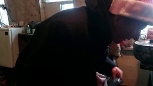 Поздравили Ефимыча с Новым годом