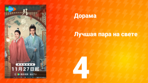 Лучшая пара на свете 4 серия
