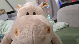 Любой бегемотик 1 января!