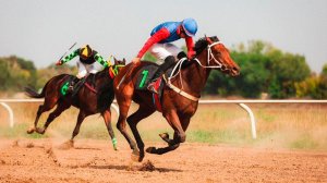 Байга. Где и как соревнуются лучшие из скакунов?