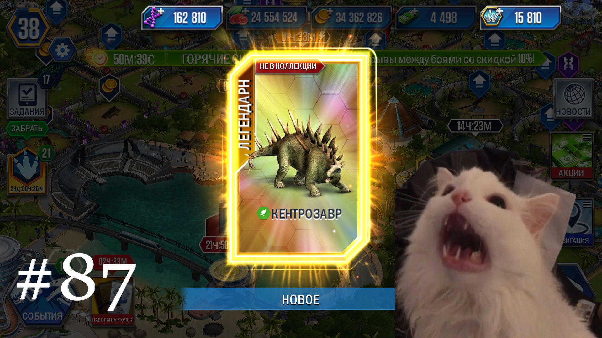 JURASSIC WORLD THE GAME #87 СНОВА ДВЕ ЛЕГЕНДАРКИ!!!! КОЛЛЕКЦИЯ РАСТЁТ! смотреть онлайн