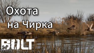 охота на Чирка осенью в BULT