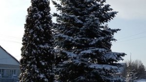 Болталка на свежем воздухе. Хорошее настроение.