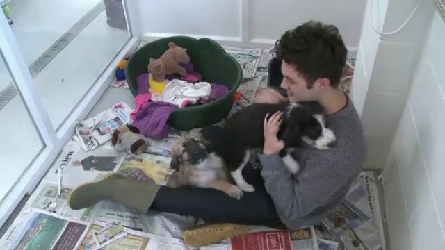 Big Question 4 BI animals смотреть онлайн