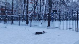 1 января магический пасмурный прогноз погоды от волшебника 🧙 ждите солнце 🌞