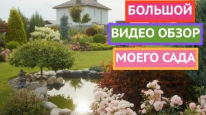 ПРИГЛАШАЮ ВАС В ГОСТИ!