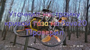 Уточнил настройку кривой газа на Pavo20\Проверил