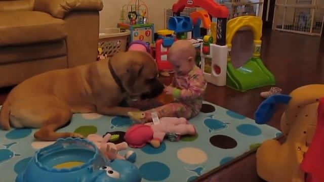 Пёсик смотреть онлайн