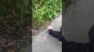 Третья часть заброски